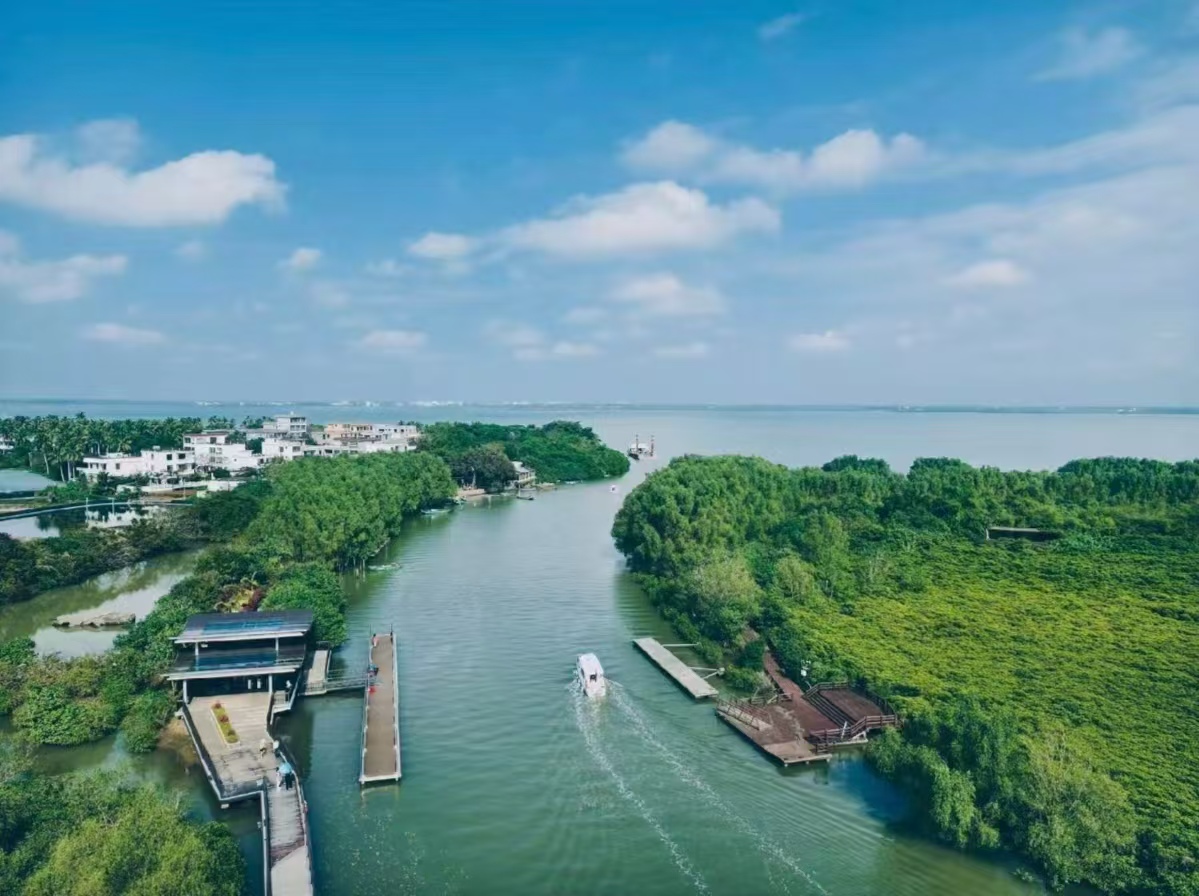 Dongzhai Port Mangrove Tourist Area